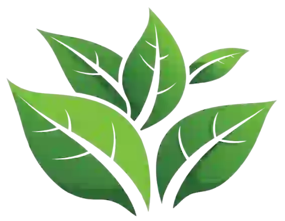 Beauty Box Combo